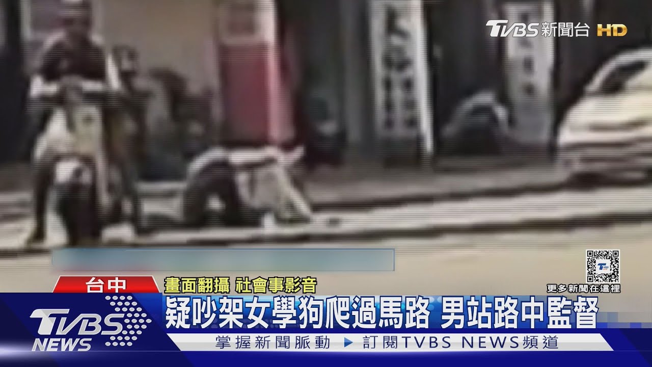 疑吵架女學狗爬過馬路!男站路中監督