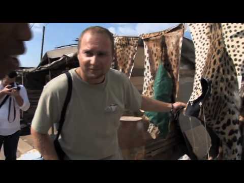 download lagu mp3 mp4 Leopard Skin Price, download lagu Leopard Skin Price gratis, unduh video klip Leopard Skin Price