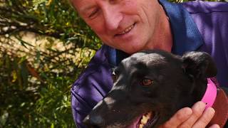 2018 Fanta Bale Retirement