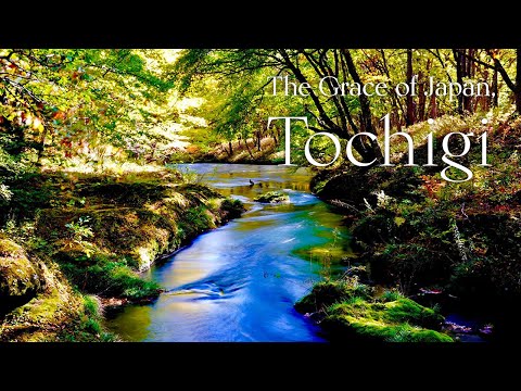 The Grace of Japan, TOCHIGI