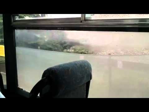 Akwaruim w autobusie
