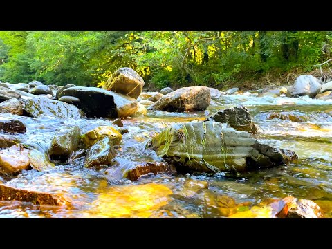 Gentle Sound Of A Mountain River Without Birds. 12 Hours for Sleep, Study and Relaxation.