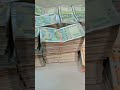 King Of Money King Shorts Money