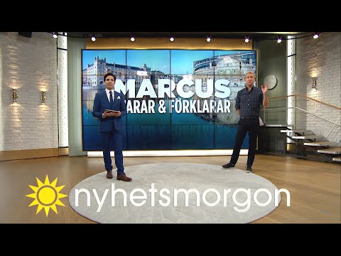 Marcus: Så tycker partierna i sakfrågorna - Nyhetsmorgon (TV4)