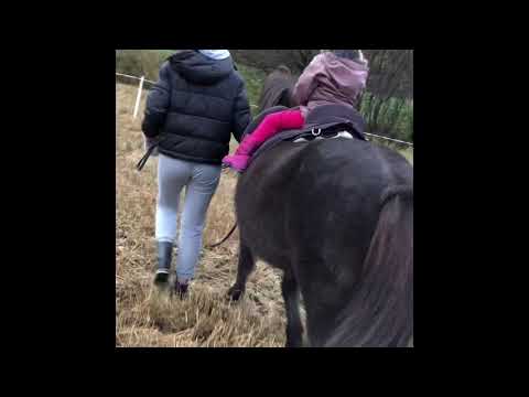 ❤️Pila fra bøler❤️