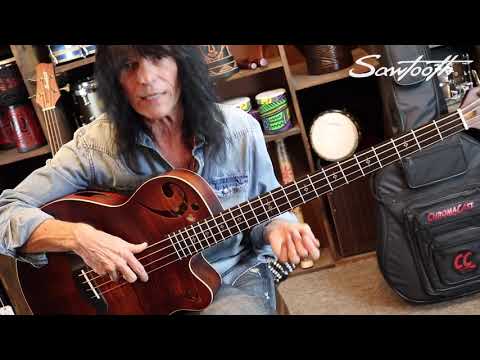 Sawtooth Rudy Sarzo Signature Left-Handed Acoustic-Electric Bass Guitar image 7