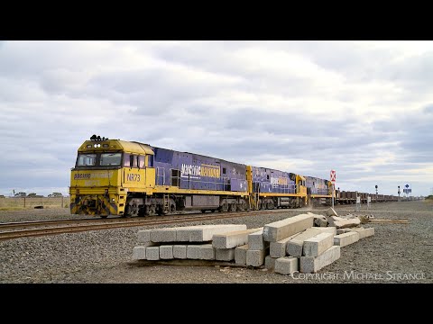3XM4 Pacific National Steel Train At Buchter Road Railway Crossing Gheringhap (5/6/2024) - PoathTV