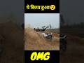 Bike Stunt Video Bike Stetus Video Splendor Stetus Video Shorts Stunt