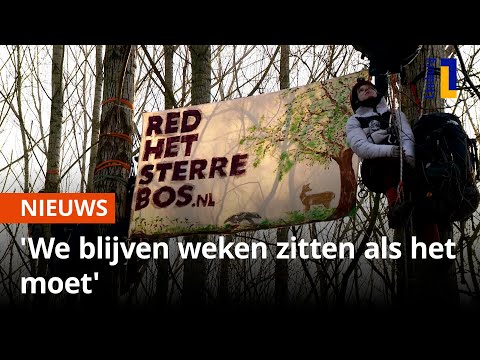 Activisten met hangmatten in bomen, ze willen kap Sterrebos voorkomen