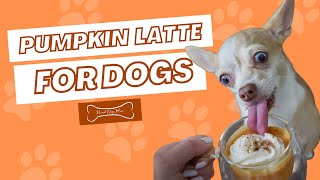 DIY Pumpkin Latte for Dogs (Easy Dog Treat Recipe) | Proud Dog Mom