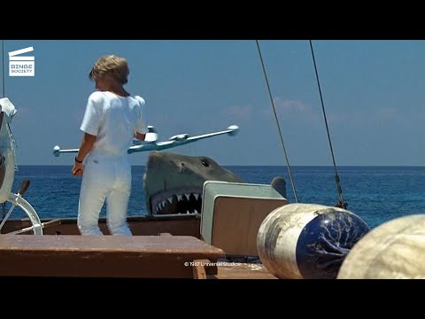 Jaws: The Revenge: Plane landing HD CLIP