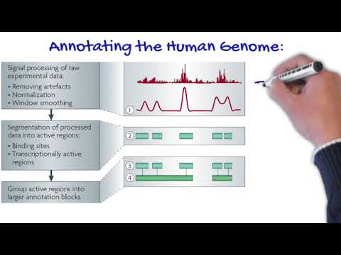Gerstein Lab introduction(4 min-doodly)