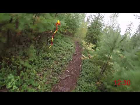 Tarstaborgsrundan 2019 - 9 km (Löparperspektiv)