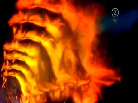 The Reborn Identity - Ladyhawke vs The Killers - Ladykillers (mashup)