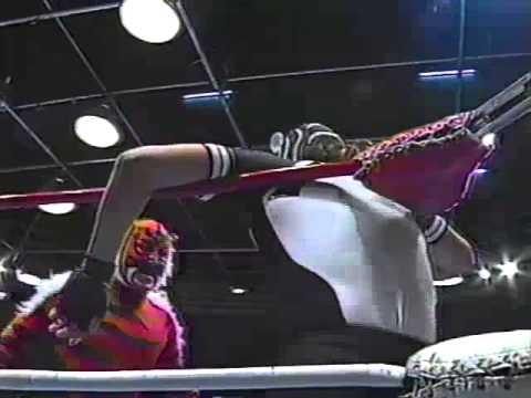 El Felino v. El Pantera