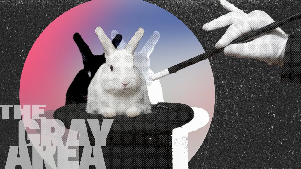 Is free will an illusion? | The Gray Area