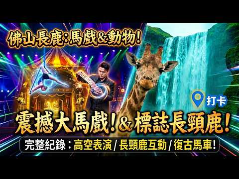 直擊順德5A景區！長鹿旅遊休博園42分鐘深度漫遊：超震撼特色馬戲團錶演、神祕魔術、瘋狂動物園，太精彩了！