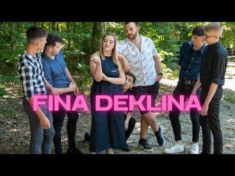 SKUPINA VRHOVI - FINA DEKLINA (Official Video)