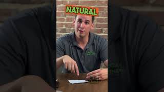How does a home standby generator work