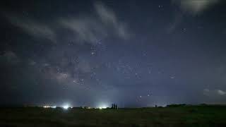 フィールドネイチャー石垣島