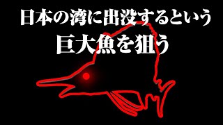 湾内に怪物が出現していると聞いて。最大3メートル以上、時速100km超え。あの巨大魚を狙ってきました。