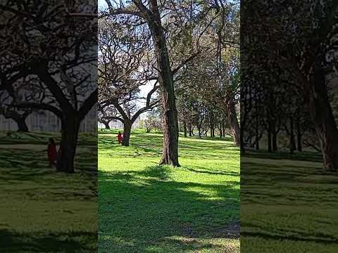 Parque Batlle.Montevideo.