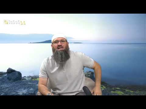 Da li se mački smije dati kurbansko meso? - Elvedin Pezić