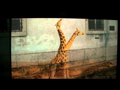 Benjamin Fehr - My Lover - Mean 013 (official video)