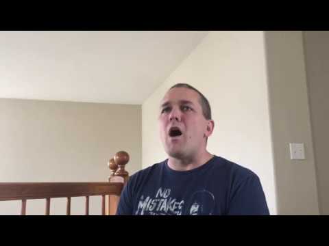 Dan Sings Karaoke - BNL If I Had A Million Dollars