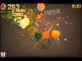 Fruit Ninja Arcade Mode Score 540