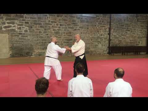 Basingstoke Martial Arts - Yoshinkan Aikido with Robert Mustard Sensei