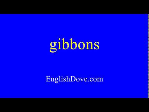 How to pronounce gibbons in American English.