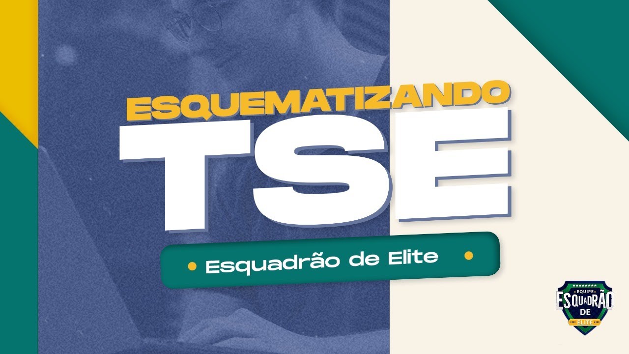 Esquematizando TSE - Gestão de Contratos - Prof. Thallius Moraes