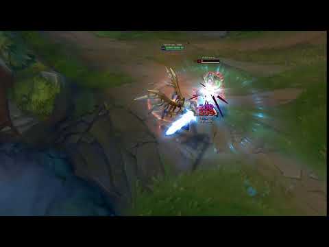 In memory of Aether wing kayle