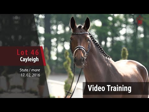 46 Caleight v. Carell - Larson_Trainingsvideo