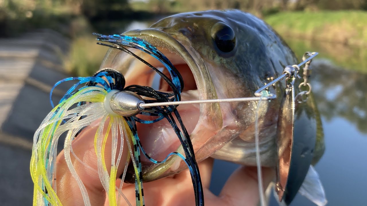 フルカスタマイズスピナーベイト 前編　すべてをカスタムできるスピナーベイトの量産型でバスを釣る動画　in五三川水系