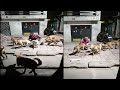Street Dog Ki Seva Aur Pyaar I Love Dogs Dog Lover Street Dog Seva Amazing Video Part 2