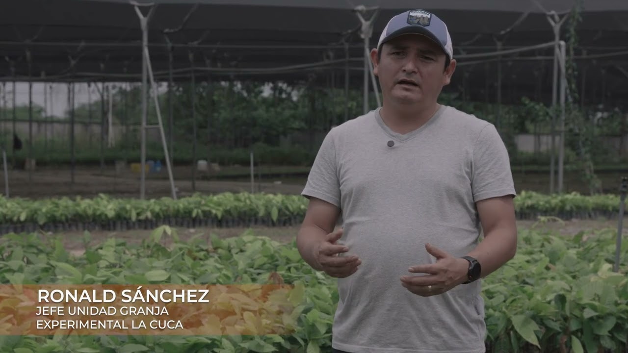 PROMESA CC 9