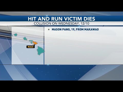 Hit And Run Maui