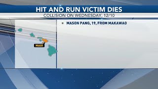 Teen dies in Maui hit-and-run crash, suspect still at large