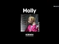 แปลเพลง Playboi Carti Molly