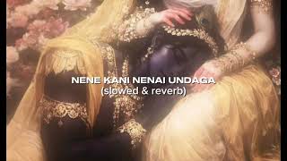 Download lagu NENE KANI NENAI UNDAGA | slowed & reverb 🦚❤️ #telugusongs #love #krishna #radheradhe #radhakrishna  mp3