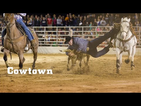 Cowtown video