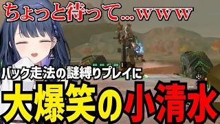 【 ゼルダの伝説 ティアーズ オブ ザ キングダム#20】バック走行の謎縛りプレイに大爆笑の小清水【小清水 透切り抜き】※ネタバレあり