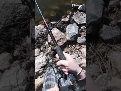 This Fish Was Bigger Than Expected! #fishing #fishingvideo #dontletthisflop #pike #fishingcommunity