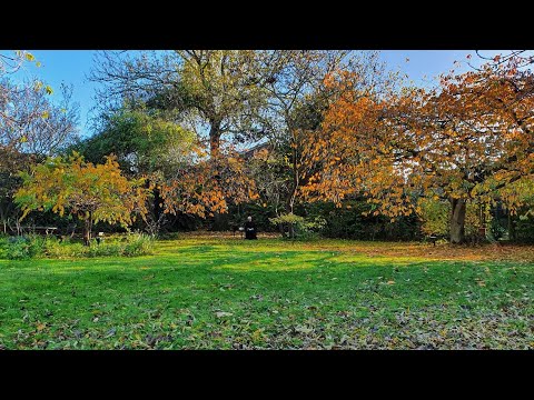 Morning Prayer – Thursday, 12th November 2020