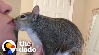 Squirrel Goes To Work In Her Mom's Hoodie | The Dodo