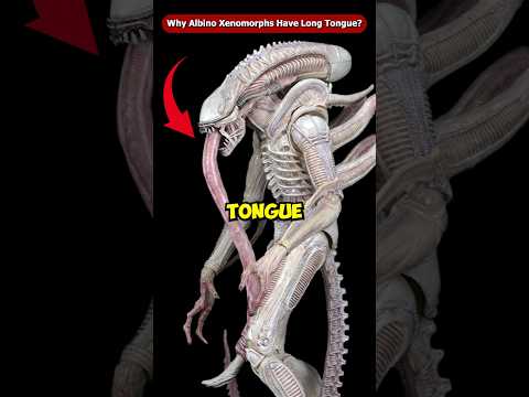 Why Does Albino Xenomorphs Have a Long Pink Tongue? #Shorts #Viral