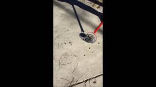 Small Gatherer picking up rifle brass