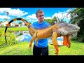 These Giant Iguanas Are Destroying Florida